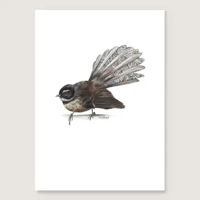 Fantail Print