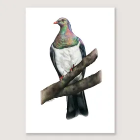 SALE - Kererū print A3