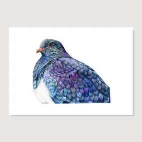 SALE - Proud Kereru print A4